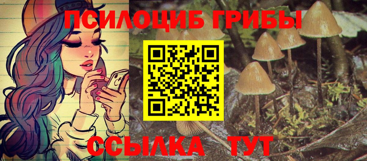 Галлюциногенные грибы Psilocybe  Вход с VPN  Галлюциногенные грибы Psilocybine cubensis  Кисловодск 