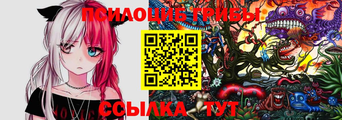 Галлюциногенные грибы GOLDEN TEACHER Кисловодск